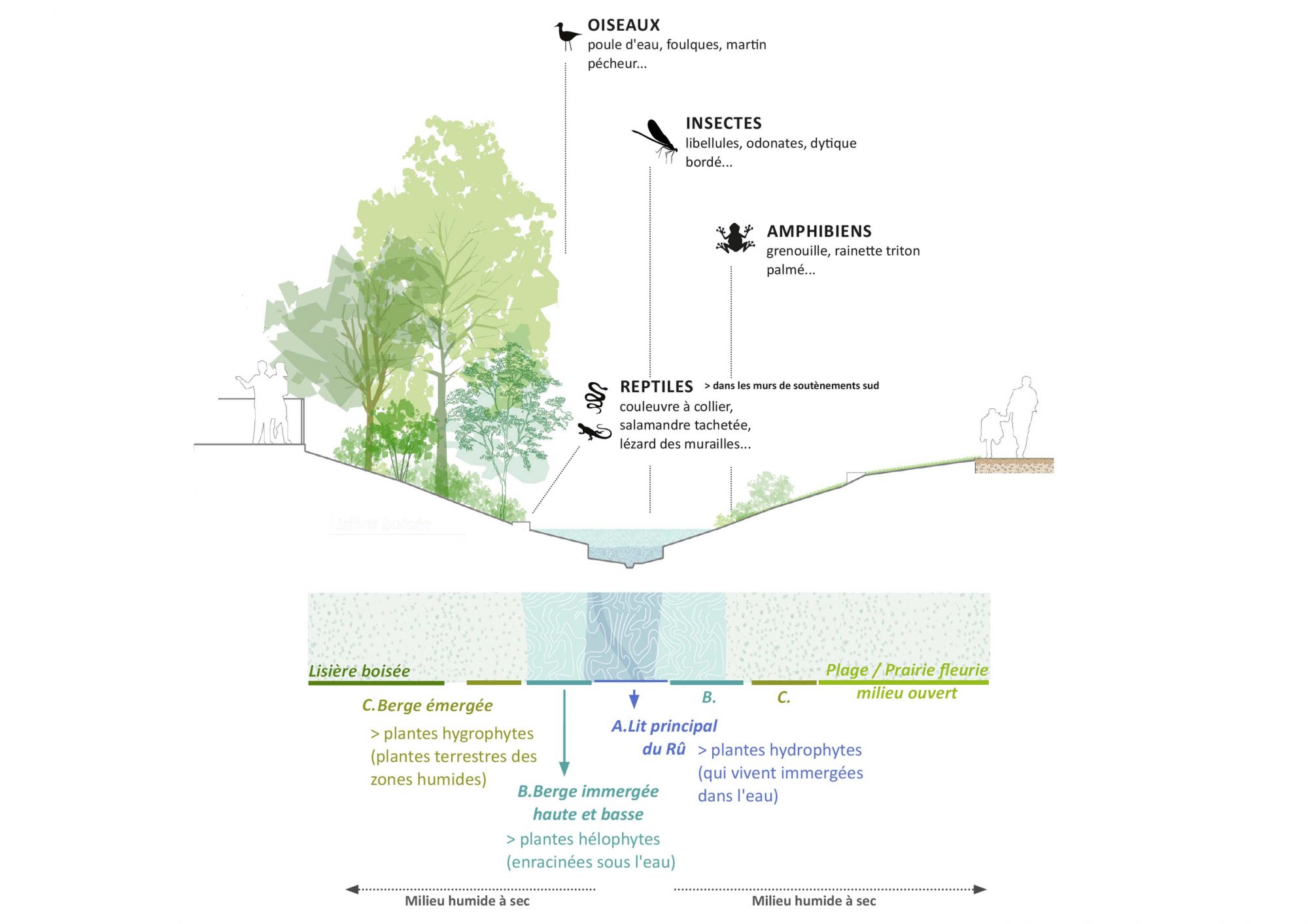 SGL_notice_ru_210126-8